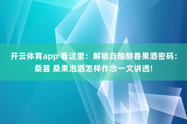 开云体育app 看这里：解锁自酿醇香果酒密码：桑葚 桑果泡酒怎样作念一文讲透!