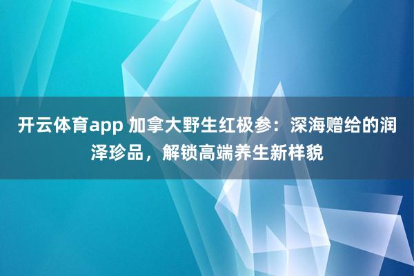 开云体育app 加拿大野生红极参：深海赠给的润泽珍品，解锁高端养生新样貌
