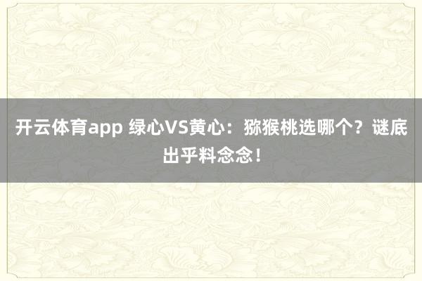 开云体育app 绿心VS黄心：猕猴桃选哪个？谜底出乎料念念！