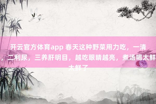 开云官方体育app 春天这种野菜用力吃，一清热，二利尿，三养肝明目，越吃眼睛越亮，煮汤喝太鲜了