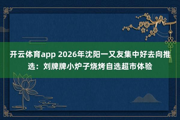 开云体育app 2026年沈阳一又友集中好去向推选：刘牌牌小炉子烧烤自选超市体验