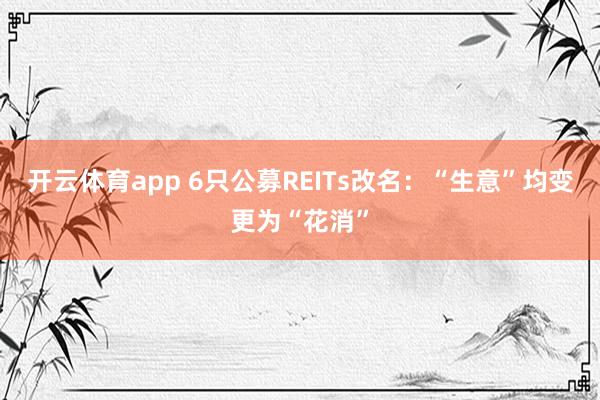 开云体育app 6只公募REITs改名：“生意”均变更为“花消”