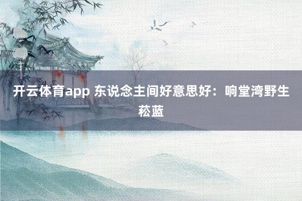 开云体育app 东说念主间好意思好：响堂湾野生菘蓝