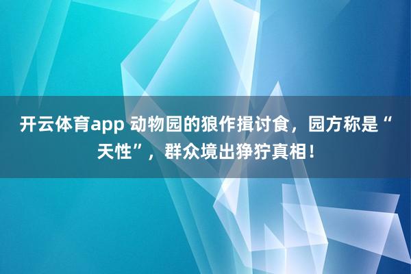 开云体育app 动物园的狼作揖讨食，园方称是“天性”，群众境出狰狞真相！