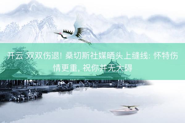 开云 双双伤退! 桑切斯社媒晒头上缝线: 怀特伤情更重, 祝你并无大碍